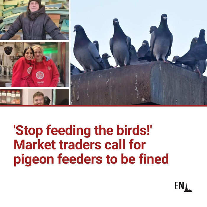 Market traders call for action on pigeon feeders as local newspaper titles highlight unusual community concerns.