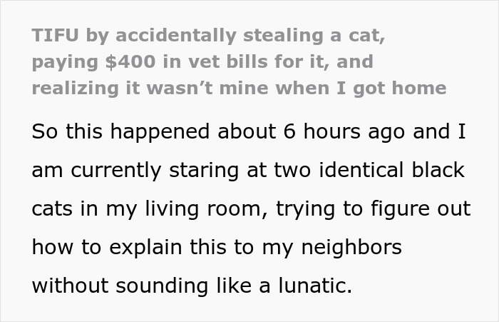 Person confusedly staring at two identical black cats, illustrating accidentally stealing wrong cat and paying vet bills scenario.