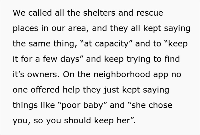 Text about calls to shelters and rescue places at capacity amid dog care home drama, seeking help from neighbors.