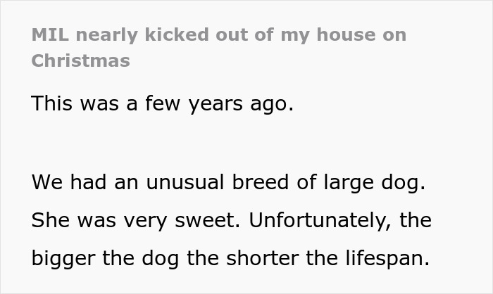 A large sweet dog at Christmas in a military house, reflecting on the challenges of lifespan and family dynamics.