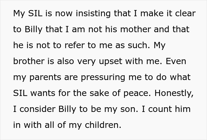 Text post stating a woman lets her nephew call her mom, causing his bio mom to demand she put a stop to it.