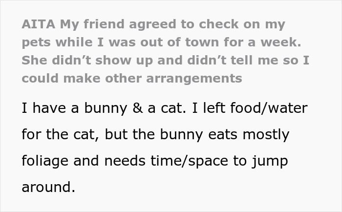 Owner trusts bestie with bunny care who goes MIA for a week, causing damage before texting the owner.