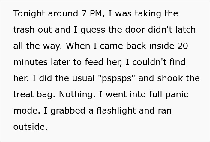 Person describing stealing wrong cat and paying bills after panicking over missing pet and searching outside with flashlight.