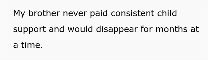 Text on screen stating a sister reveals custody court judge the truth about her brother who abandoned his child.