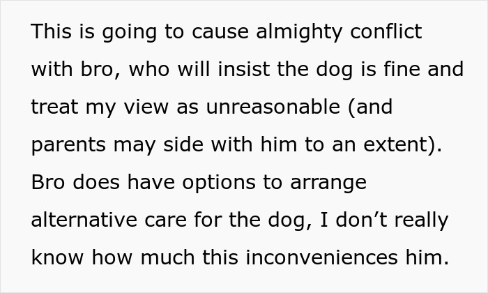 New mom avoids family vacation after brother insists his pit bull is safe around her baby, causing tension.