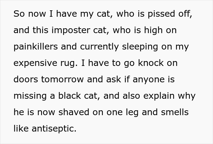 Text about stealing wrong cat, dealing with imposter cat, and paying bills after mistaken cat theft.