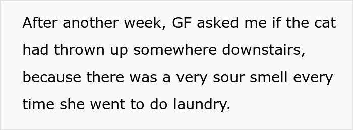 Text block describing a girlfriend noticing a sour smell while doing laundry, questioning if the cat threw up downstairs. Text block describing a girlfriend noticing a sour smell while doing laundry, questioning if the cat threw up downstairs.