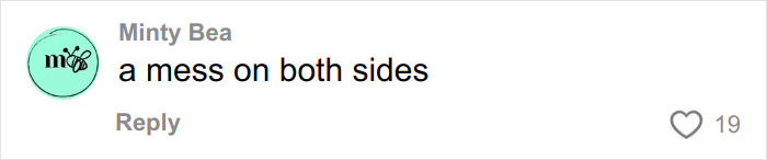 Comment by user Minty Bea stating a mess on both sides with 19 likes on a social media platform.