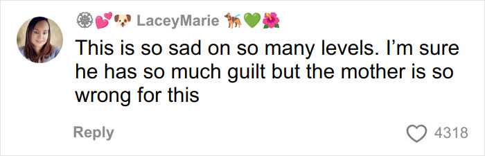 Comment from user LaceyMarie expressing sadness and blaming the mother in the case involving the beauty queen accused of toddler&rsquo;s passing.