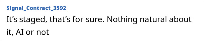 Prince Harry and Meghan Markle in a holiday photo, with fans criticizing the image for signs of manipulation.