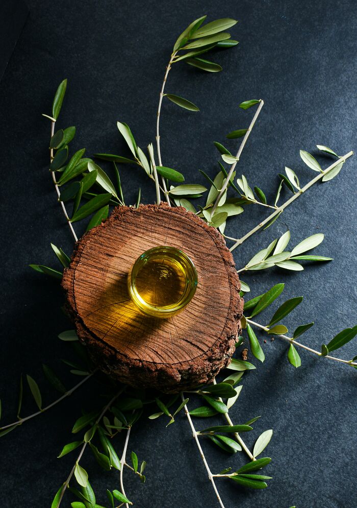 Glass of olive oil placed on wooden log surrounded by fresh olive branches representing Greek village life and culture.