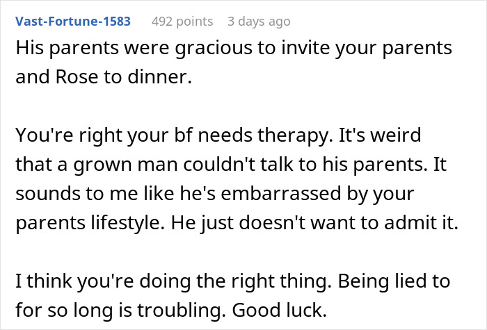 Comment section excerpt discussing a woman rethinking engagement after fianc&eacute; lies about her family during holiday dinner.