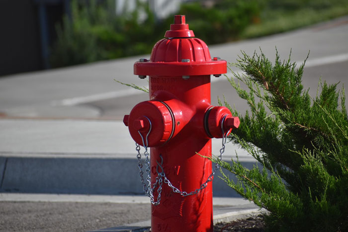 Red fire hydrant near driveway with greenery, illustrating rude guy blocking fire hydrant and driveway scenario.