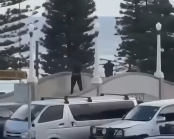 Two people standing on a wall near Bondi Beach with tall pine trees and parked vehicles in the foreground.