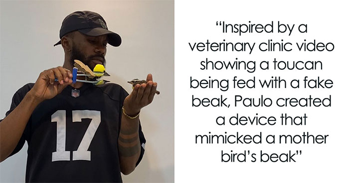 Man Becomes Bird Dad Overnight After Crafting A DIY “Mother” For A Lost Chick