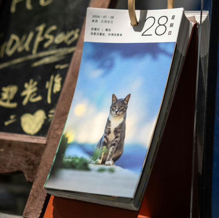 Desk flip calendar showing a cat photo dated July 28 on a stand, tag racist gift