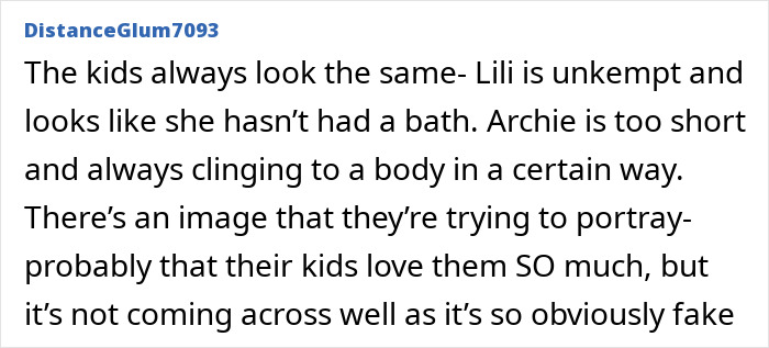 Screenshot of online comment criticizing Prince Harry and Meghan Markle's holiday snap as manipulation and fake by fans.