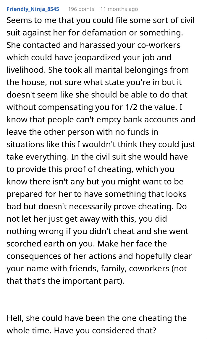 Reddit comment discussing wife of 10 years ruining husband&rsquo;s reputation with false cheating claims and legal advice.