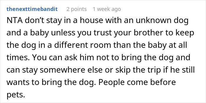 Comment advising new mom to avoid family vacation with brother&rsquo;s pit bull near her baby for safety and peace of mind.