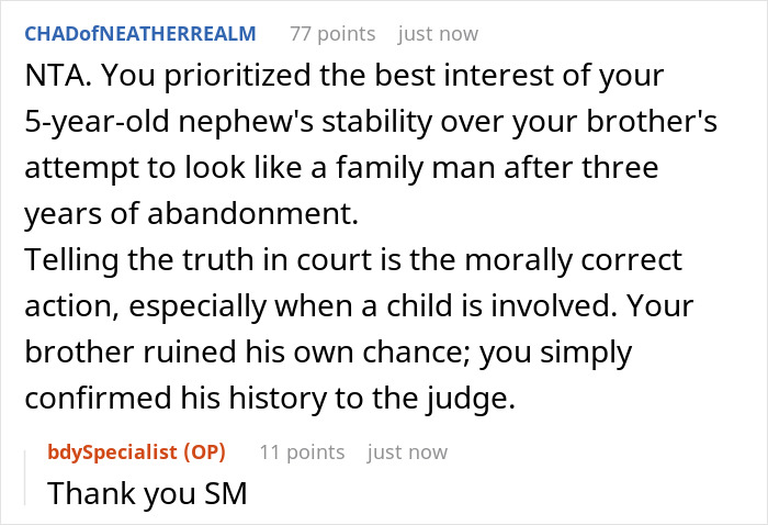 Reddit comments discussing truth told in custody court about brother who abandoned his kid causing family drama.