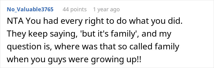 Screenshot of a Reddit comment discussing a sibling conflict after sharing a surprise plan that led to someone being kicked out.