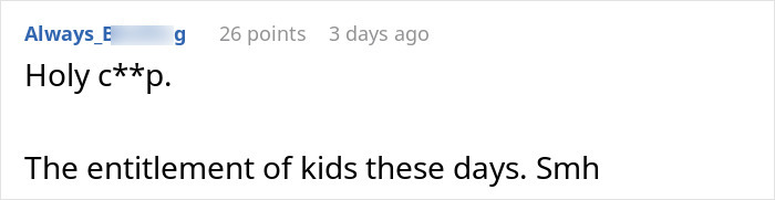 Screenshot of an online comment criticizing a teen&rsquo;s entitlement over missing $30k with vague answers from mom.