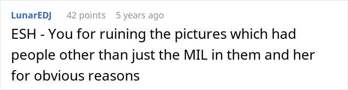 Comment text on a gray background discussing ruining family pictures and excluding people due to homophobic MIL reasons.