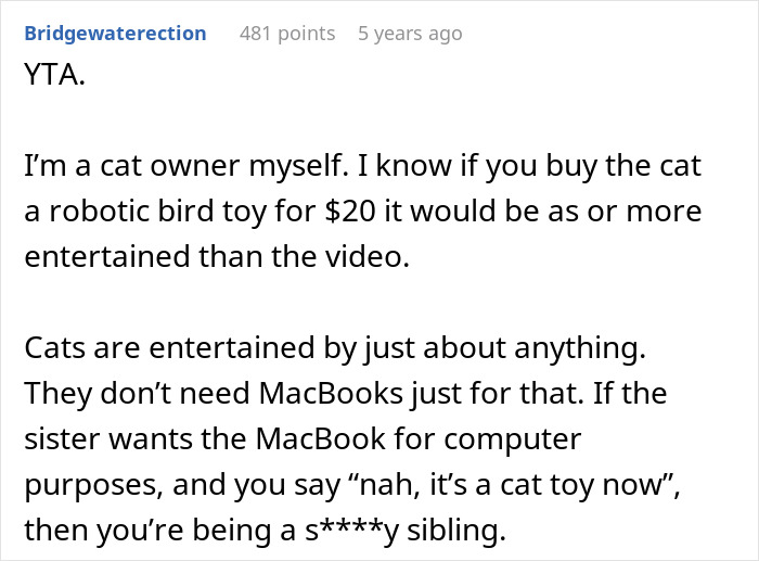 Reddit comment discussing a cat owner&rsquo;s view on giving an old laptop to a cat instead of a sibling.