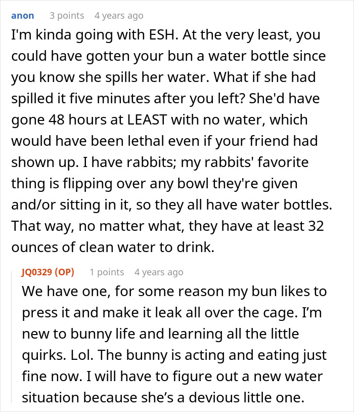 Owner trusts bestie with bunny care, friend goes MIA during vacation, texts only after damage is done to the bunny&rsquo;s setup.