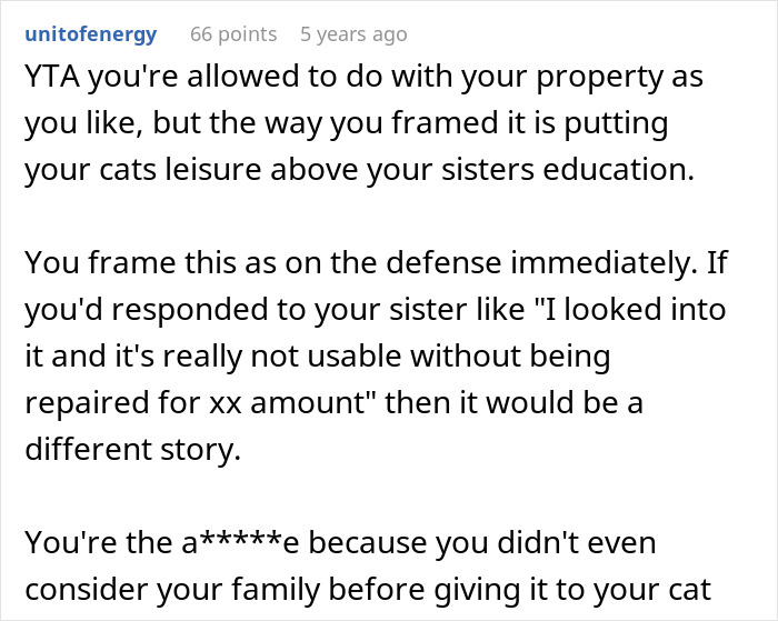 Reddit comment criticizing a guy for giving his old laptop to his cat instead of his sister, sparking internet debate.