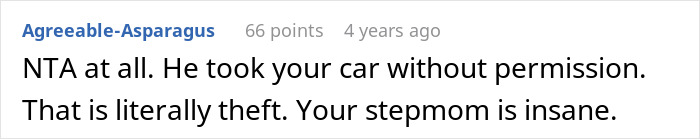 Screenshot of a comment discussing a woman&rsquo;s half-brother who stole her car, leading to family conflict