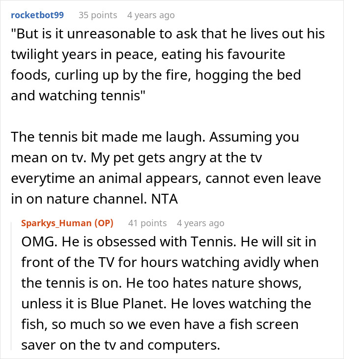 Screenshot of a Reddit conversation discussing an old cat’s peaceful life and a partner upset about getting a dog. Screenshot of a Reddit conversation discussing an old cat’s peaceful life and a partner upset about getting a dog.
