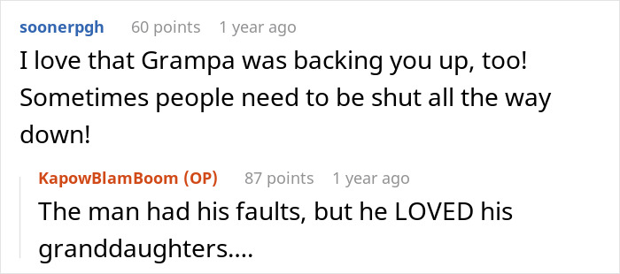 Red dog wearing a mil house Christmas outfit sitting near festive holiday decorations indoors.