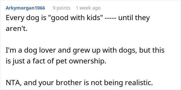 Comment discussing dog ownership risks, a new mom politely avoiding family vacation due to concerns about pit bull safety around her baby.