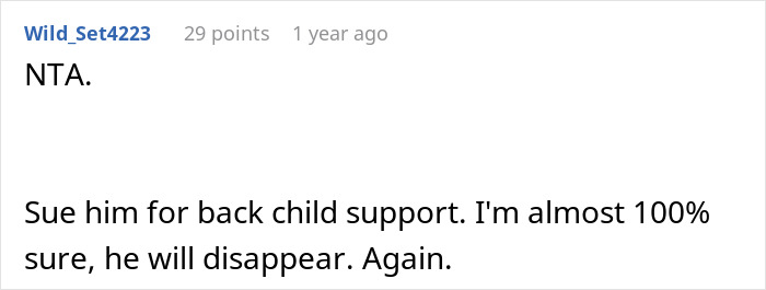 Commenter Wild_Set4223 responding to a family dispute about a surprise plan, advising legal action for child support.