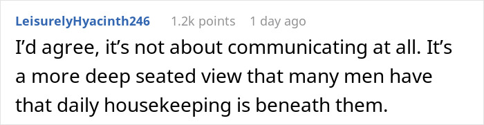 Comment from LeisurelyHyacinth246 about men&rsquo;s attitudes toward daily housekeeping and relationship patterns.