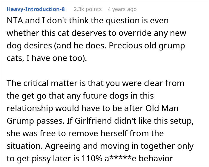 Upset woman discussing her desire to get a dog while her girlfriend insists on prioritizing her old cat’s needs. Upset woman discussing her desire to get a dog while her girlfriend insists on prioritizing her old cat’s needs.