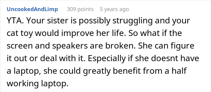 Screenshot of a comment discussing the impact of giving an old laptop to a cat instead of a sister in an internet debate.