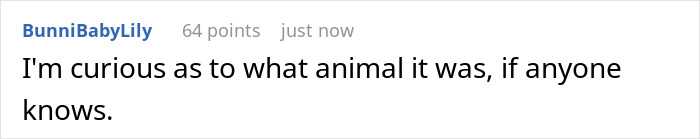 Reddit comment by BunniBabyLily asking what animal it was, referencing a racist gift incident.