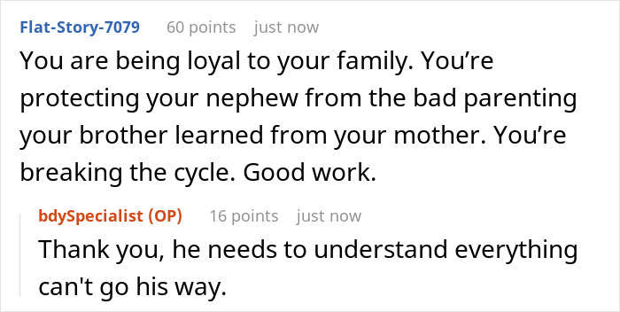 Commenters discussing family loyalty and protecting a nephew from bad parenting in a custody court family drama.
