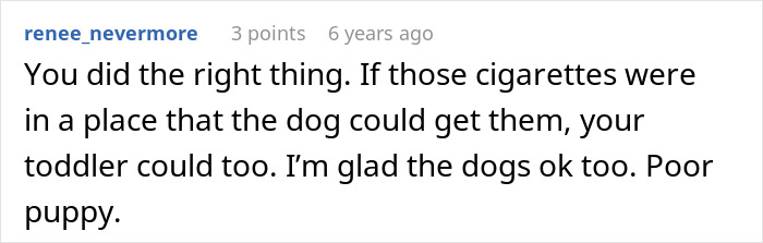 Comment discussing concerns about MIL poisoning family dog and the impact on household safety and relationships.
