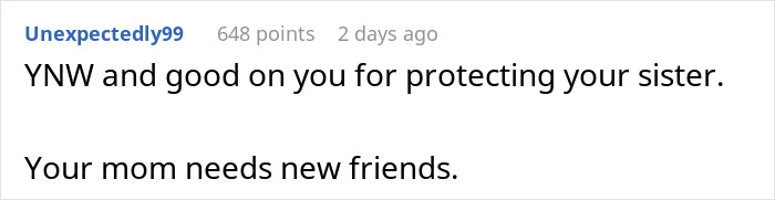 Comment on Reddit discussing protecting a sister and suggesting a mom needs new friends during Christmas dinner.