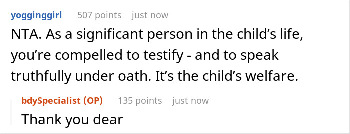 Screenshot of a custody court discussion where a sister reveals the truth about her brother who abandoned his child.
