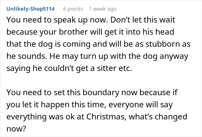 Screenshot of an online comment advising a new mom to set boundaries about her brother&rsquo;s pit bull around her baby before a family vacation.