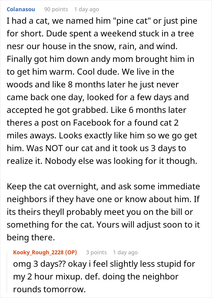 Red cat mix-up story about stealing wrong cat and paying bills, with neighbors involved in resolving the confusion.