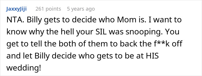 Comment discussing a woman letting her nephew call her mom and the biological mom demanding her to stop it.