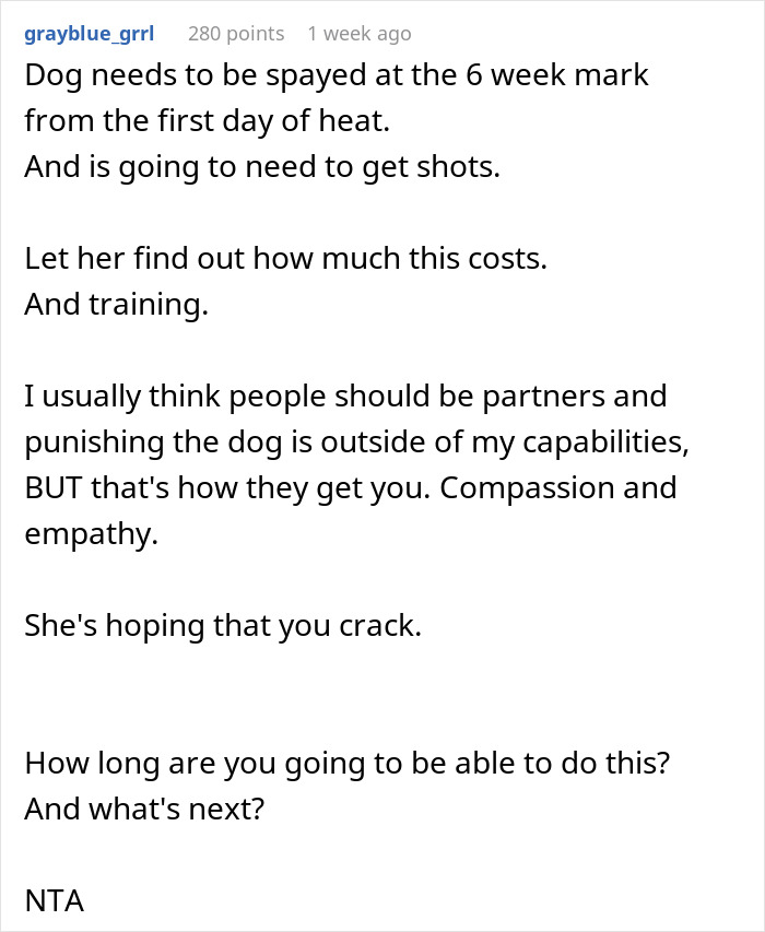 Text post discussing dog care home drama, focusing on spaying, training, and compassionate treatment of the dog.