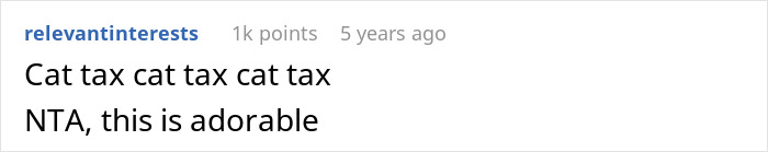 Screenshot of a Reddit comment praising a cat for receiving an old laptop, highlighting cute and funny internet moments.