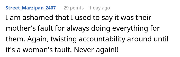 Comment by user Street_Marzipan_2407 about accountability in relationships and blaming patterns seen by single women.