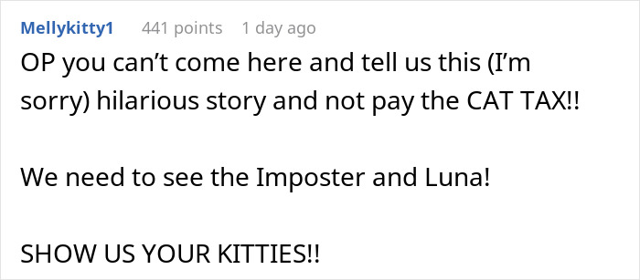 Comment text on social media demanding to see cats after stealing wrong cat and paying bills story.